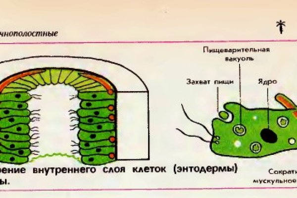 Клирнет ссылка на зеркало маркетплейс кракен