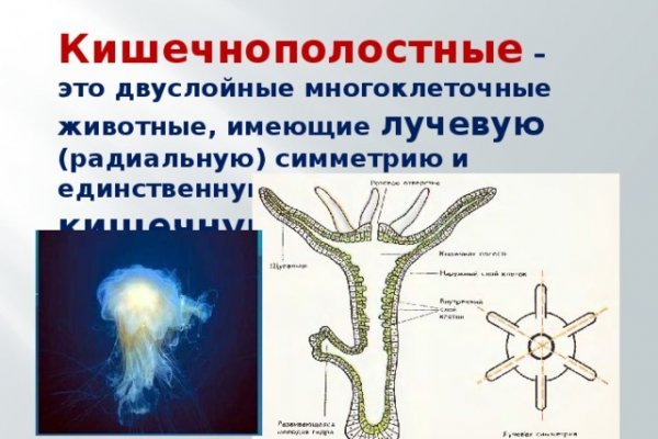 Как пополнить кракен