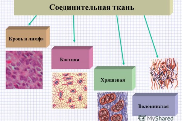 Kraken darknet ссылка тор