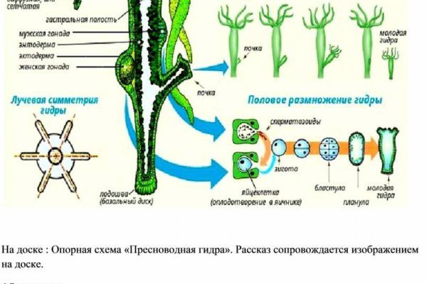 Kraken адрес onion