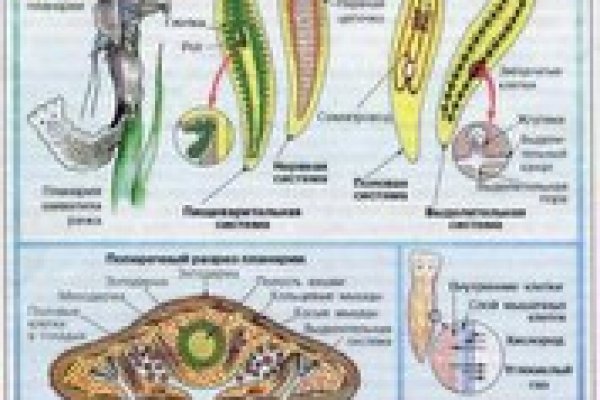 Почему не работает кракен