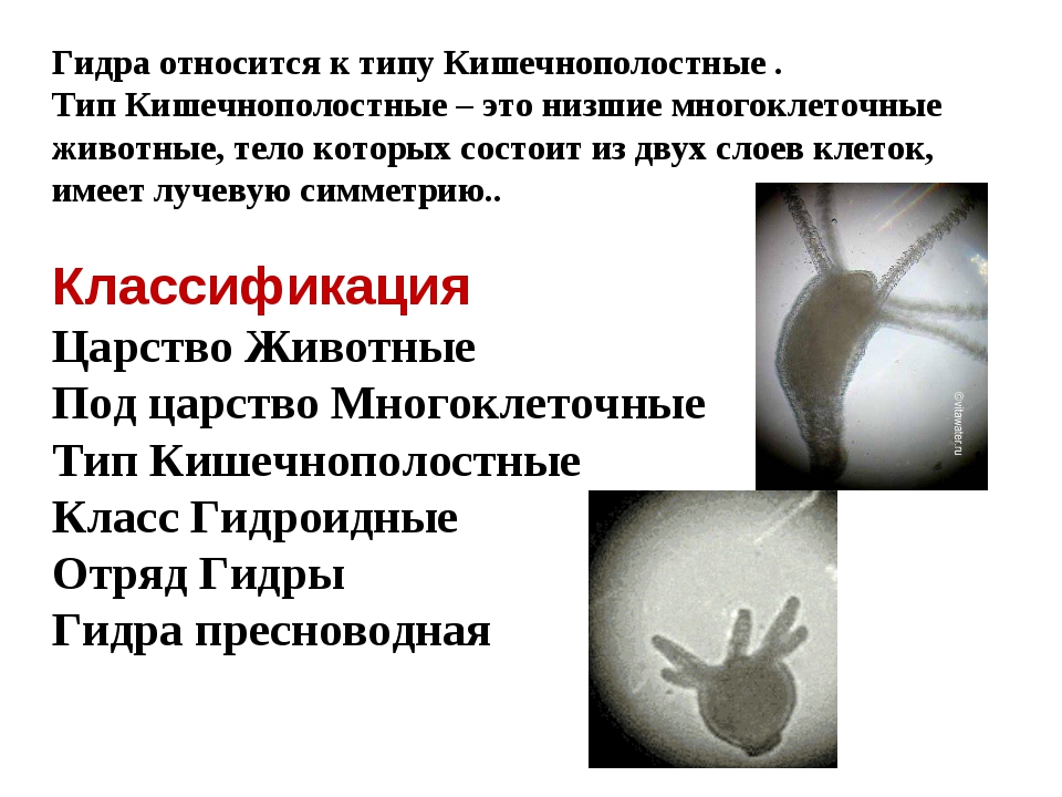 Переход на кракен