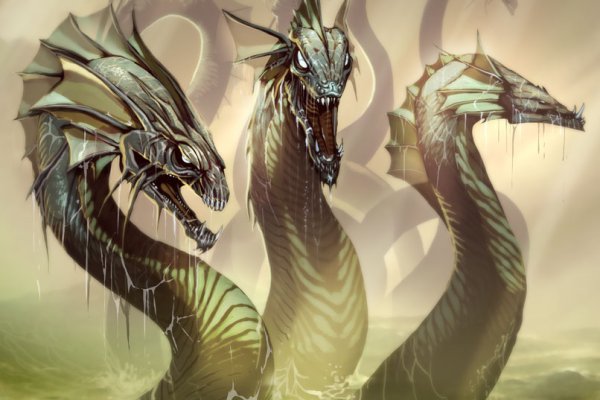 Kraken online