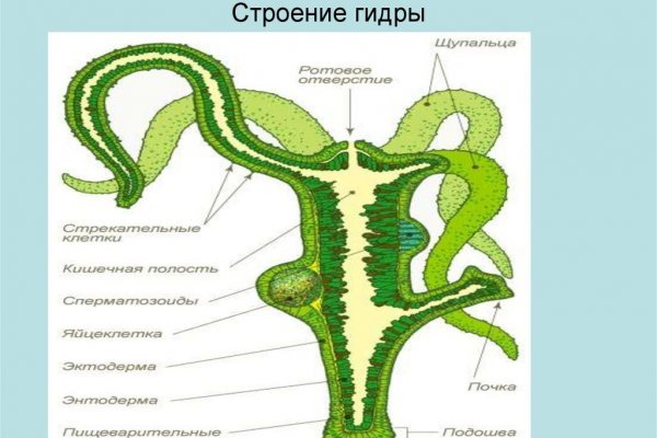 Магазины с наркотиками